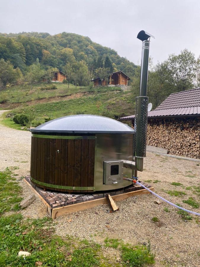 Pensiunea Lupul Dacic Costesti  Exterior photo