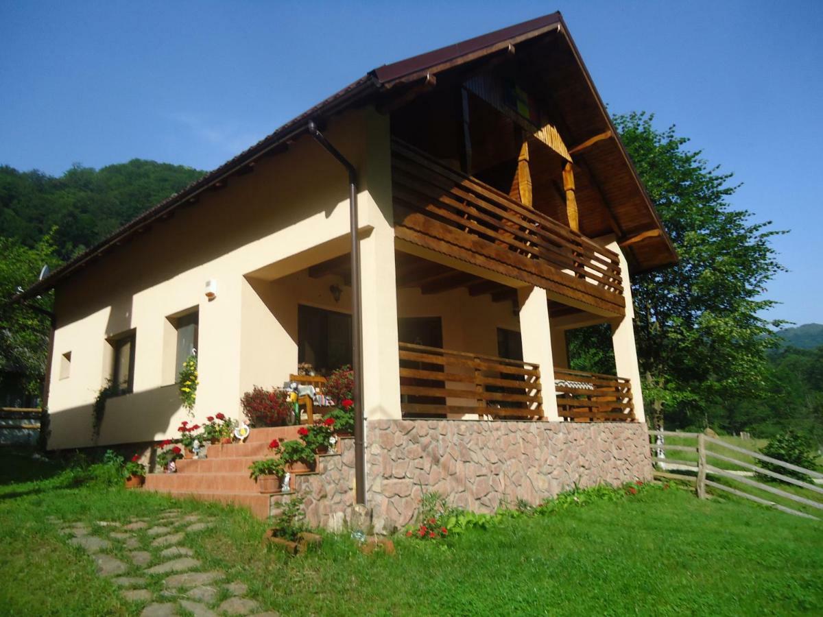 Pensiunea Lupul Dacic Costesti  Exterior photo