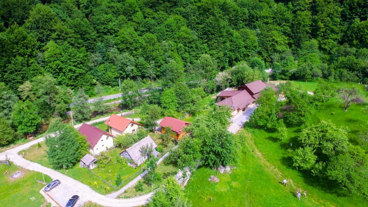 Pensiunea Lupul Dacic Costesti  Exterior photo