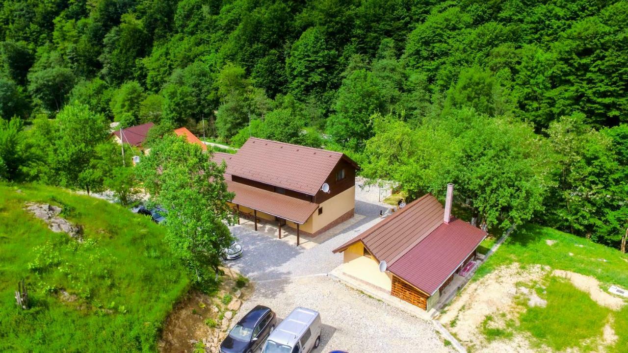 Pensiunea Lupul Dacic Costesti  Exterior photo